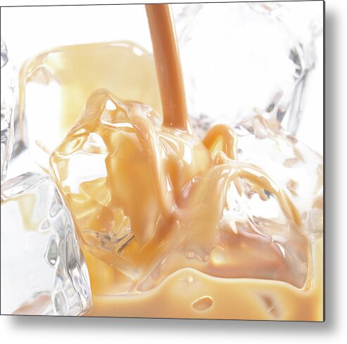 Alcohol Metal Print featuring the photograph Bailey On Ice by Jeremy Hudson