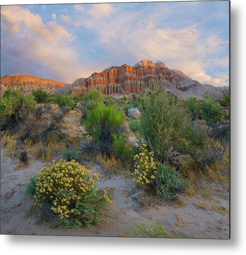 00571640 Metal Print featuring the photograph Cliffs In Flowering Desert, Red Rock Canyon State Park, California by Tim Fitzharris