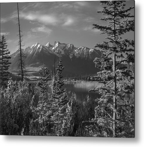 Disk1215 Metal Print featuring the photograph Colin Range Jasper National Park by Tim Fitzharris