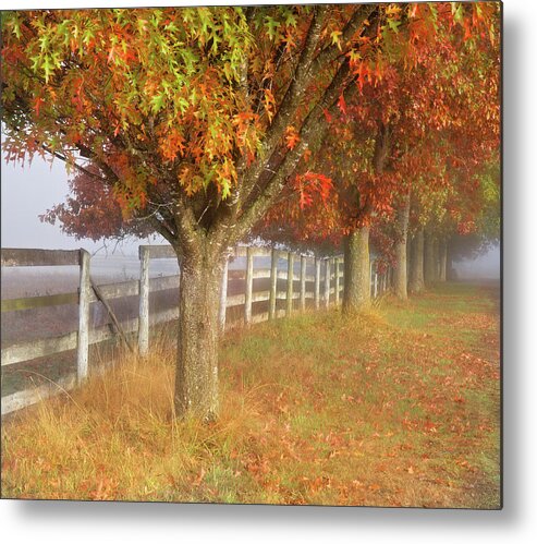 Fall Metal Print featuring the photograph Home Again 2 by Judi Kubes