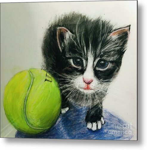 Pastel Portrait Of A Kitten With A Tennis Ball Metal Print featuring the drawing Kitten and Tennis Ball by Lavender Liu