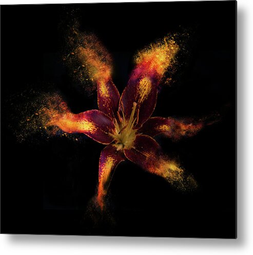 Lily Burst Metal Print featuring the mixed media Lily Burst by Lori Hutchison