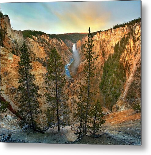 00586188 Metal Print featuring the photograph Lower Yellowstone Falls, Yellowstone River, Grand Canyon Of Yellowstone, Yellowstone National Park, Wyoming by Tim Fitzharris