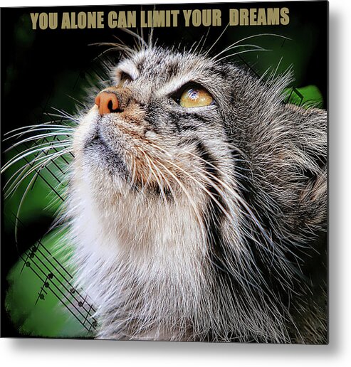 Cat Metal Print featuring the digital art No Limit On Your Dreams by Michelle Liebenberg