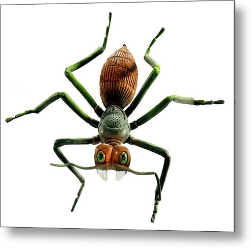 Animal Metal Print featuring the drawing Plastic Bug by CSA Images