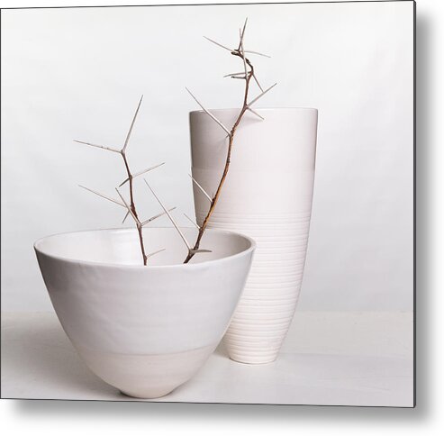White Metal Print featuring the photograph Porcelain And Thorns by Pamela Brighton