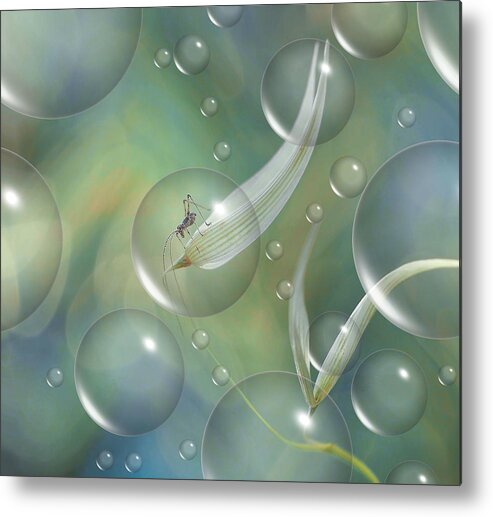 Nature Metal Print featuring the photograph Safe In His Bubble... by Thierry Dufour