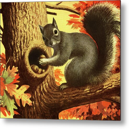 Acorn Metal Print featuring the drawing Squirrel Storing Nuts by CSA Images