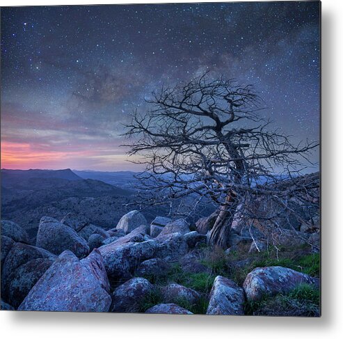 00559646 Metal Print featuring the photograph Stars Over Pine, Mount Scott by Tim Fitzharris