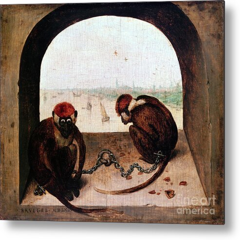 Concepts & Topics Metal Print featuring the drawing Two Monkeys, 1562. Artist Pieter by Print Collector