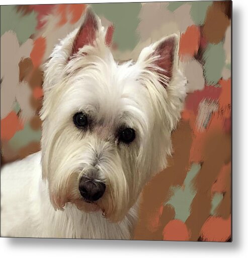 Westie Metal Print featuring the photograph West Highland Terrier by Portraits By NC