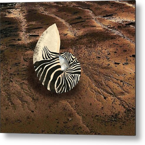 Nautilus Shell Metal Print featuring the mixed media Zebra Nautilus Shell on the Sand by Joan Stratton