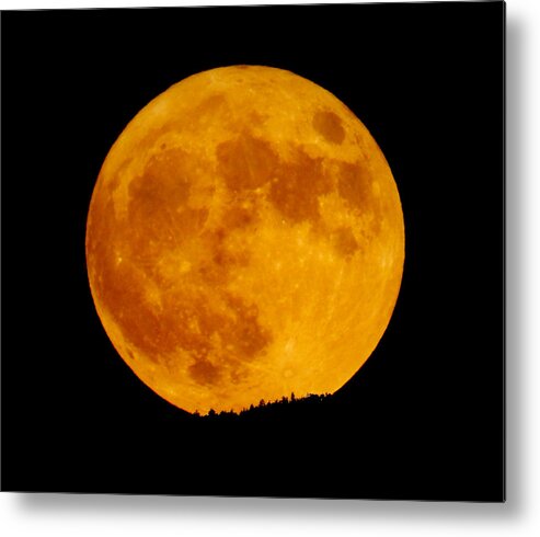 Moon Metal Print featuring the photograph Super Blue Moon August 2023 #1 by Bob Geary