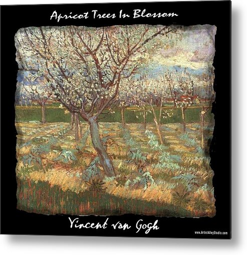Vincent Metal Print featuring the painting Apricot Trees In Blossom - VVG by The GYPSY and Mad Hatter