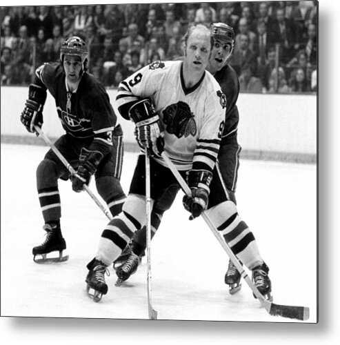 Season Metal Print featuring the photograph Player Bobby Hull... #7 by B Bennett