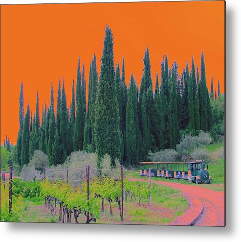 Orange Sky Tall Tees Train Pines West Western Evergreens Canadian Rockies Metal Print featuring the photograph A Real Place by Dorsey Northrup