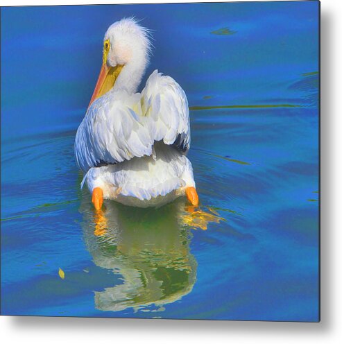 Pelican Metal Print featuring the photograph American White Pelican by Alison Belsan Horton