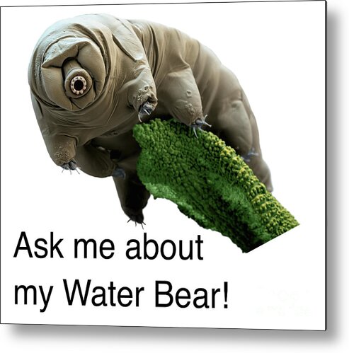 Water Bear Metal Print featuring the photograph Ask Me About My Water Bear by Eye of Science