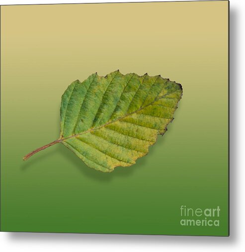 Leaf Metal Print featuring the digital art Autumn Leaf 4 of 5 by L Bosco
