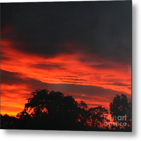 Sun Metal Print featuring the photograph Awakening by Cynthia Marcopulos