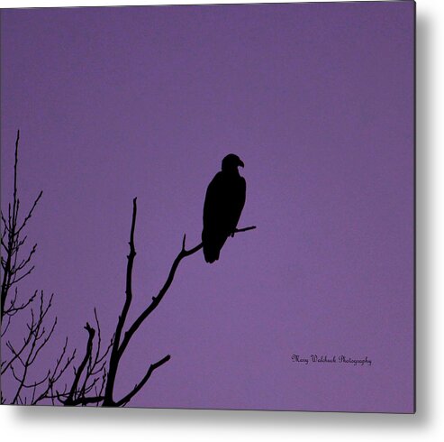 Eagle Metal Print featuring the photograph Bald Eagle in Silhouette by Mary Walchuck