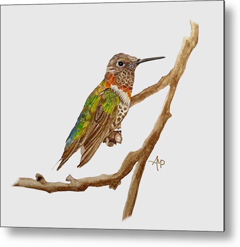 Hummingbird Metal Print featuring the painting Bright Colored Hummingbird by Angeles M Pomata