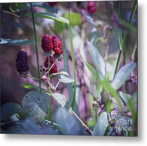 Fruit Metal Print featuring the photograph Dangerous Beauty by Mireyah Wolfe