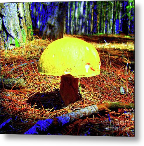 Mushroom Metal Print featuring the photograph Forest Life by Jolanta Anna Karolska
