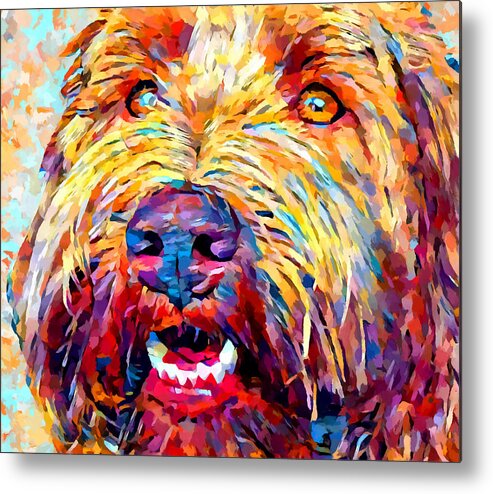Dog Metal Print featuring the painting Labradoodle 2 by Chris Butler