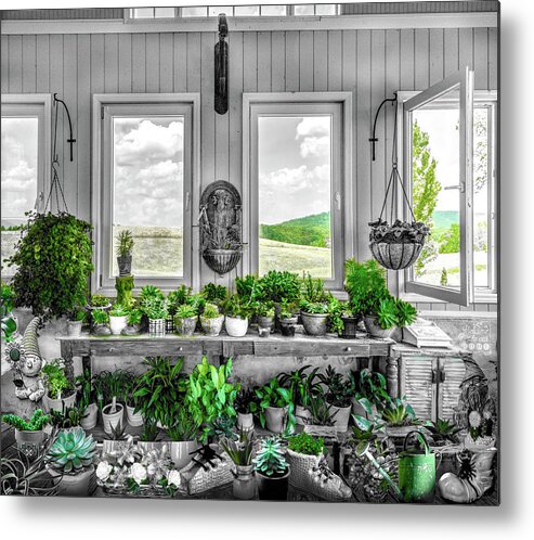Barns Metal Print featuring the photograph Plants in the Vineyard Greenhouse Window Black and White and Gre by Debra and Dave Vanderlaan