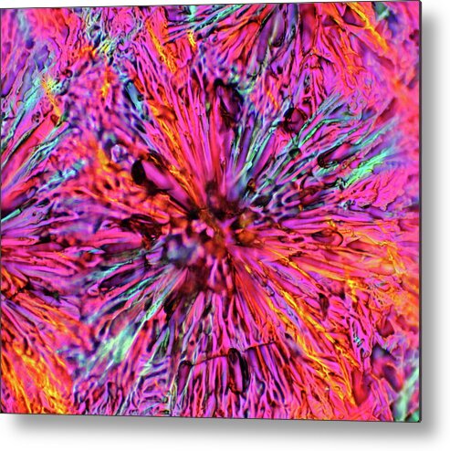 Crystals Metal Print featuring the photograph Poppies Of Doom by Hodges Jeffery