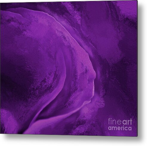 Flower Metal Print featuring the photograph Purple Rose Petal by George Robinson