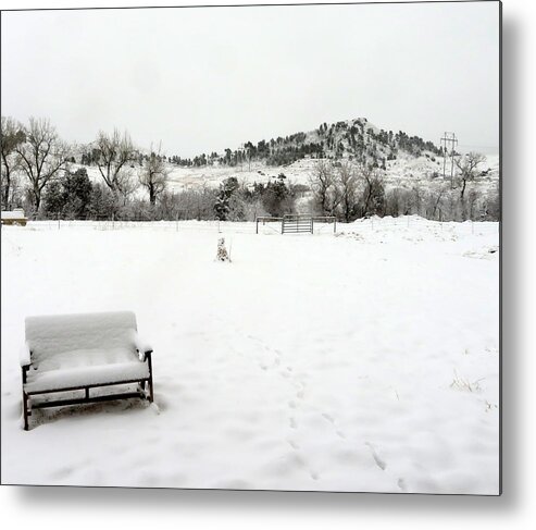 Snow Metal Print featuring the photograph The Repose of Winter by Katie Keenan