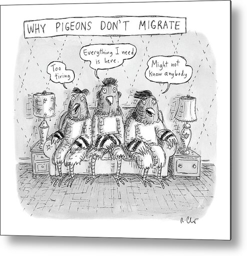 A26527 Metal Print featuring the drawing Why Pigeons Don't Migrate by Roz Chast