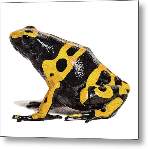 Black Metal Print featuring the painting Yellow and Black, Yellow-Banded Poison Dart Frog by Custom Pet Portrait Art Studio