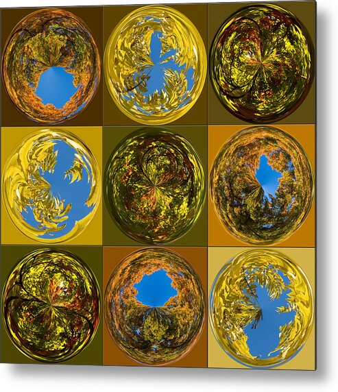Fall Metal Print featuring the photograph Autumn Spheres by Denise Beverly