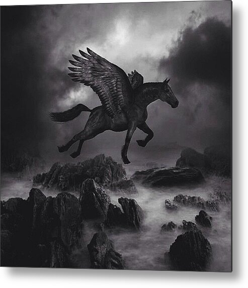  Metal Print featuring the photograph // Dark Horse // by Usman Ali
