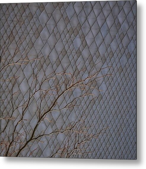Archilovers_patterns Metal Print featuring the photograph /// Rhythms Of Life /// by Paul Brouns