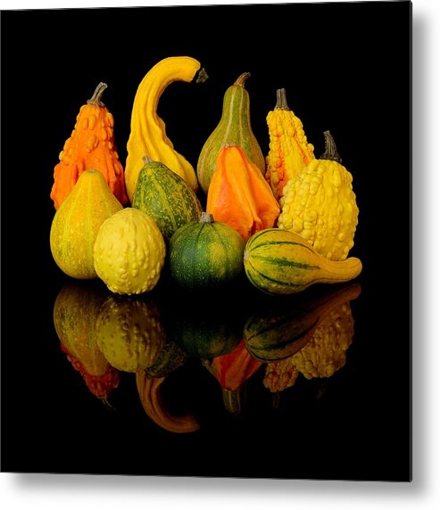 Autumn Metal Print featuring the photograph Autumn Harvest Gourds by Jim Hughes