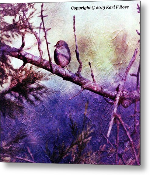 Birds Metal Print featuring the photograph Bird in tree #1 by Karl Rose