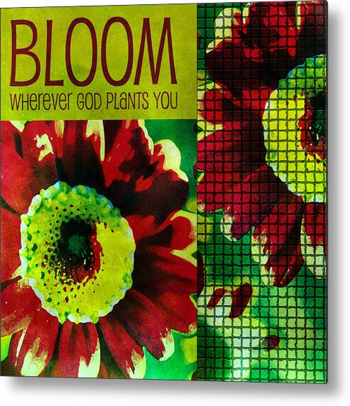 Bloom Metal Print featuring the photograph Bloom #1 by Bonnie Bruno