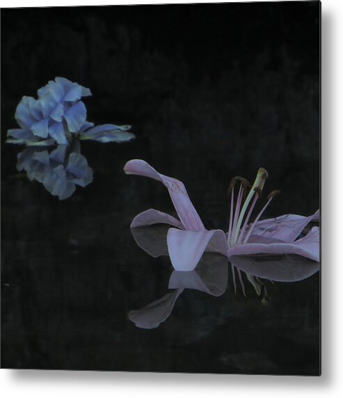  Metal Print featuring the photograph Blossom Rain 8 #1 by Georg Kickinger