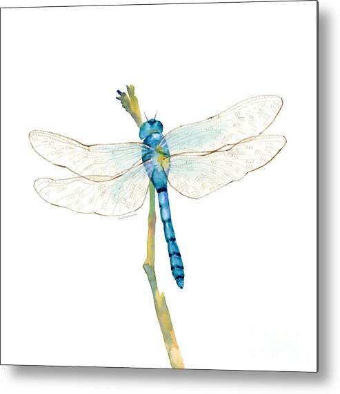 Blue Metal Print featuring the painting Blue Dragonfly by Amy Kirkpatrick