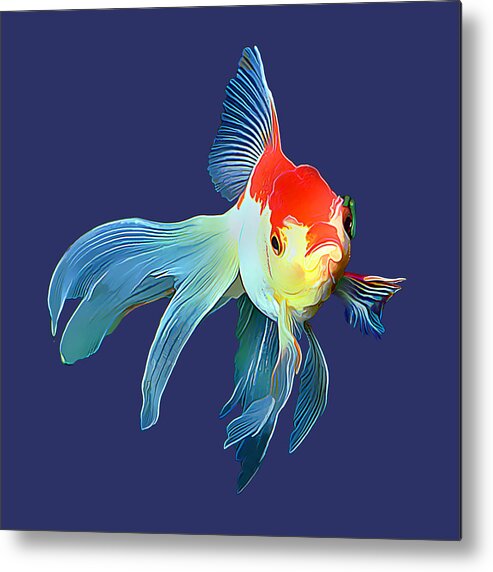 Goldfish (carassius Auratus) Metal Print featuring the photograph Fantail Goldfish #1 by Wernher Krutein
