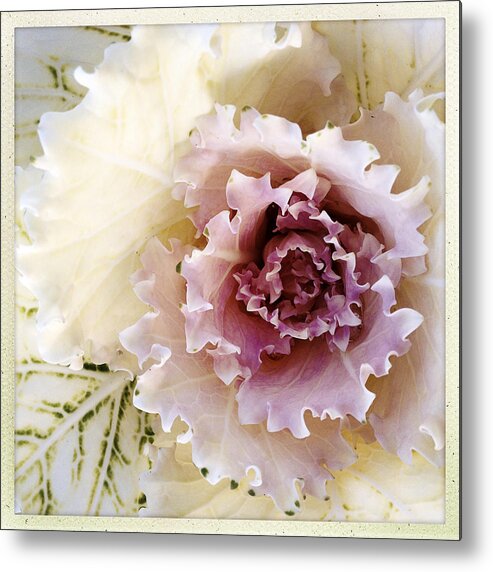 Flower Metal Print featuring the photograph Pretty flower by Les Cunliffe