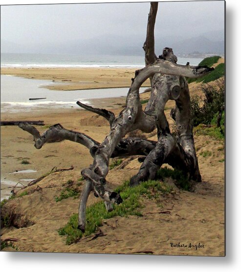 Gnarley Tree Metal Print featuring the photograph Gnarley Tree #1 by Barbara Snyder