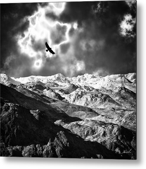 Bald Eagle Metal Print featuring the photograph Heaven's Breath 15 #1 by The Art of Marsha Charlebois