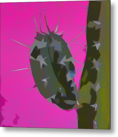 Cactus Metal Print featuring the photograph Pink and Green Cactus Collage #1 by Carol Leigh