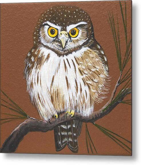 Owl Metal Print featuring the painting Pygmy Owl #1 by Jennifer Lake