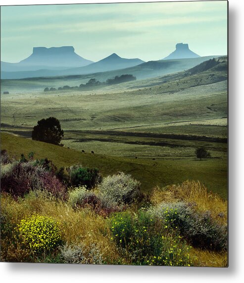 Africa Metal Print featuring the photograph Table Mountains In Kwazulu Natal #1 by Per-Andre Hoffmann